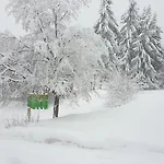 Traumurlaub Im Bayerische Wald شقة سانكت انجلمار