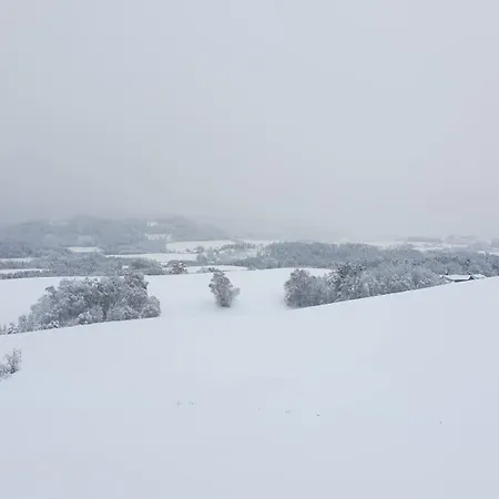 Traumurlaub Im Bayerische Wald Apartmán *