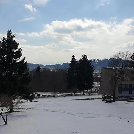 Traumurlaub Im Bayerische Wald Apartamento