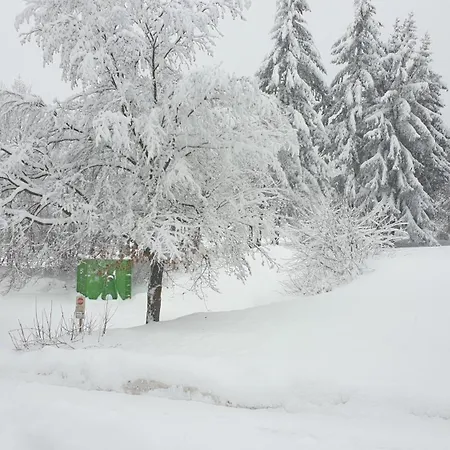 Traumurlaub Im Bayerische Wald Daire Sankt Englmar