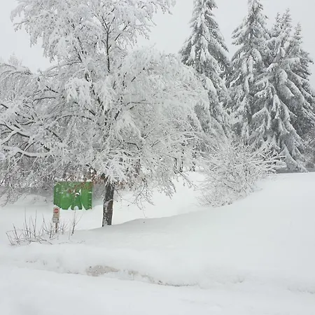 Traumurlaub Im Bayerische Wald شقة سانكت انجلمار