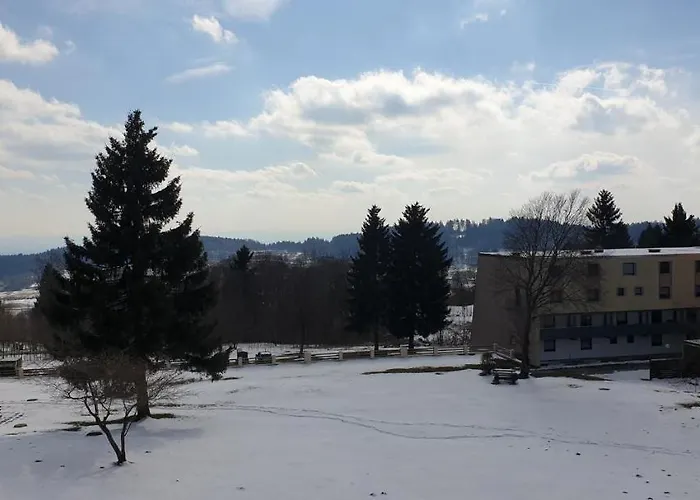 Traumurlaub Im Bayerische Wald Appartement