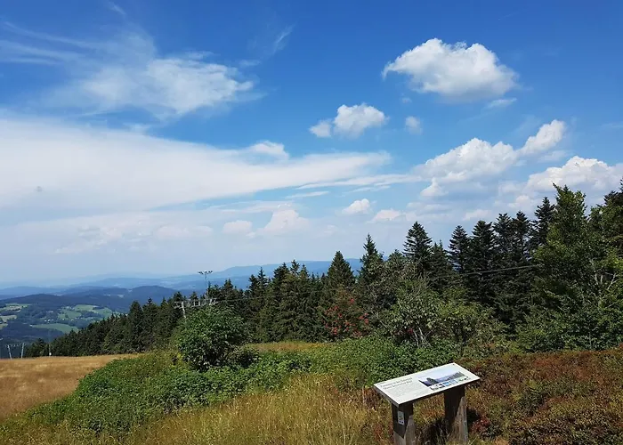 Traumurlaub Im Bayerische Wald *