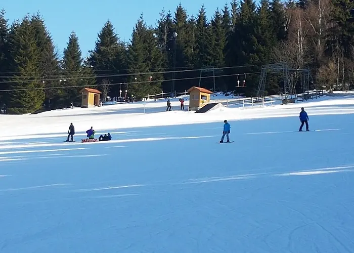 Traumurlaub Im Bayerische Wald 아파트 *