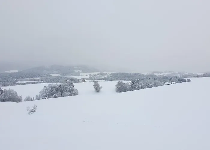 Traumurlaub Im Bayerische Wald Apartamento *