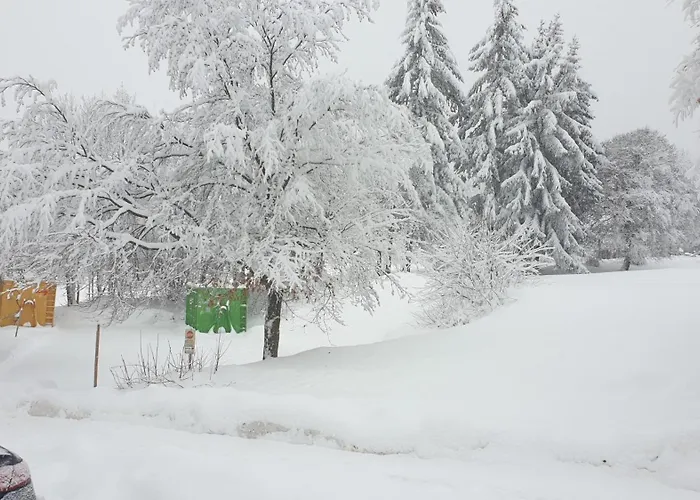 Traumurlaub Im Bayerische Wald Apartamento Sankt Englmar