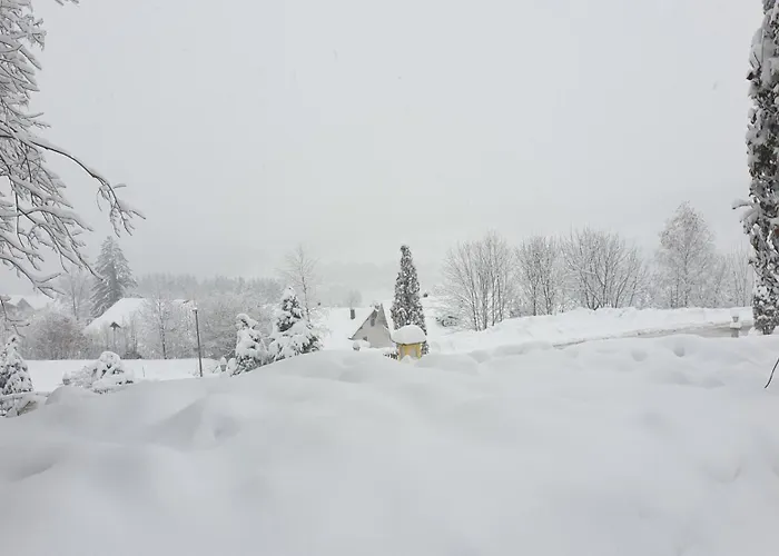 Traumurlaub Im Bayerische Wald *